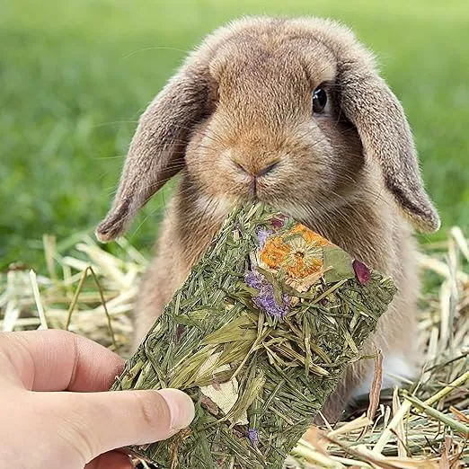 Rabbit Chew Toys, Chinchilla Treats for Dental Health, Natural Timothy Hay Chips Chew Treats,Small Animals Snacks for Rabbits, Hamsters, Bunny, Guinea Pig, Chinchillas (Timothy Hay*5)