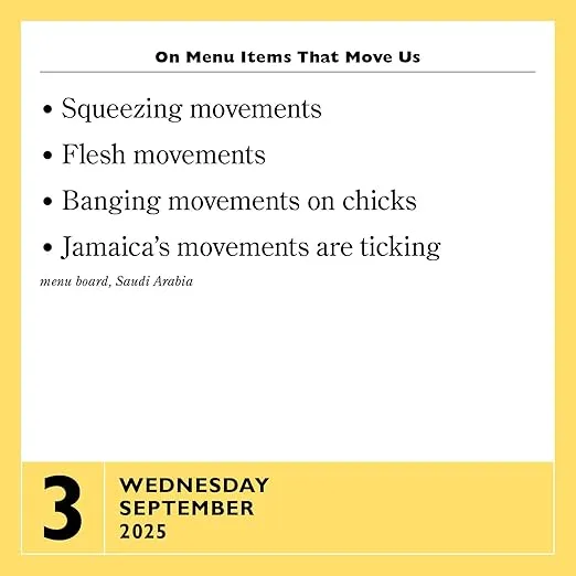 365 Stupidest Things Ever Said Page-A-Day® Calendar 2025: A Daily Dose of Ignorance, Political Doublespeak, Jaw-Dropping Stupidity, and More