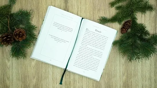 Three Wise Women: 40 Devotions Celebrating Advent with Mary, Elizabeth, and Anna