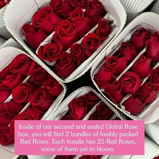 GlobalRose Fresh Cut Red Roses - 50 Roses Fresh Flowers Bouquet - Real Flowers Fresh Bouquet for Mother's Day, Birthday, Anniversary, Bridal Shower, or Home Decor - Fresh Cut Flowers Delivery (OM)