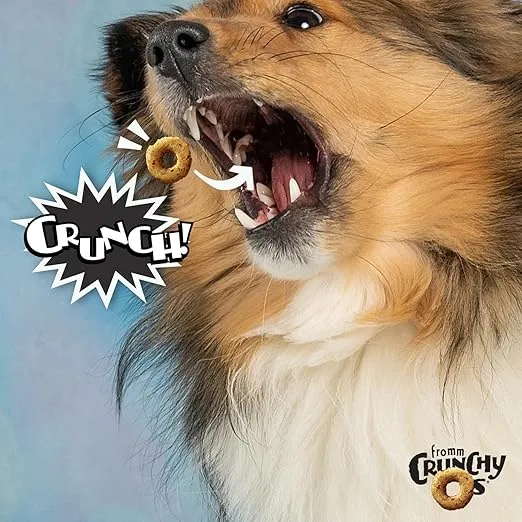 Fromm Crunchy Os Bacon Blasters Flavor Dog Treats - Premium Crunchy Dog Treats - Bacon Recipe - 26 oz