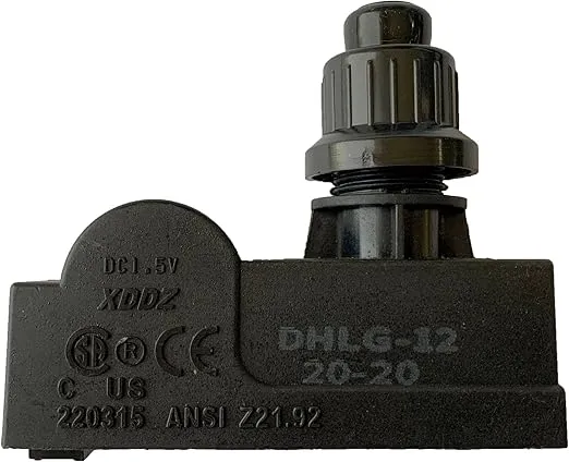 2 Outlet Ignitor