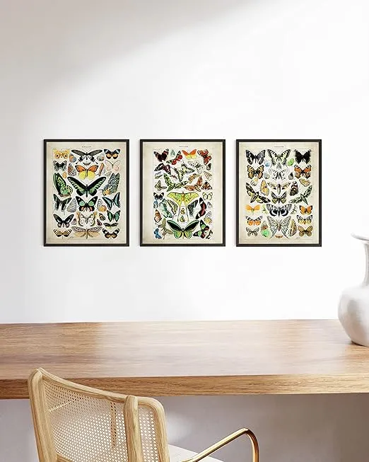 HAUS AND HUES Butterfly Poster Vintage -Set of 3 Vintage Nature Posters Butterfly Art Vintage Botanical Prints Posters for Room Aesthetic Vintage Butterfly Pictures Wall Decor UNFRAMED (8"x10")