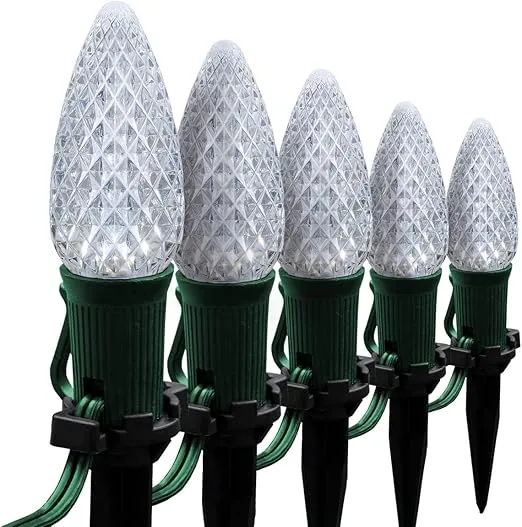 Wintergreen Lighting 25’ OptiCore LED Cool White Pathway Christmas Lights, C9 Outdoor White Christmas Lights, 4.5” Stakes, Green Wire Plug String Lights