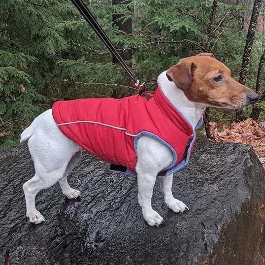 Gooby Sports Vest Dog Jacket - Red, Medium - Reflective Dog Vest with D Ring Leash - Warm Fleece Lined Small Dog Sweater, Hook and Loop Closure - Dog Clothes for Small Dogs Boy or Girl Dog Sweater