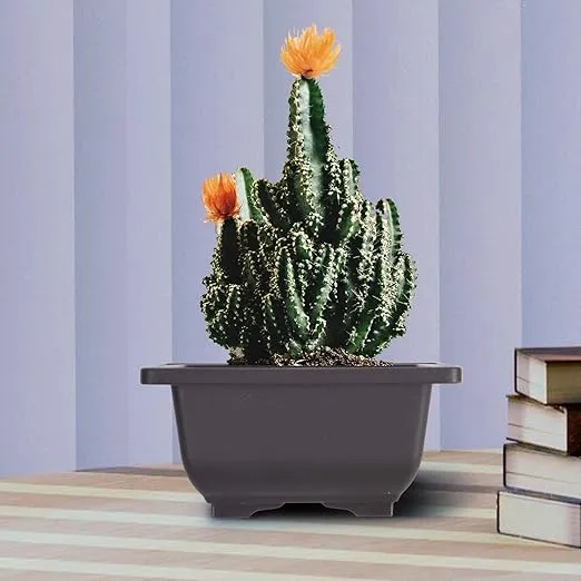 KINJOEK 15 PCS 6.7 Inch Plant Pot, Square Plastic Bonsai Training Pots, Flower Succulent Pots Container for Garden, Indoor, Home Decorative