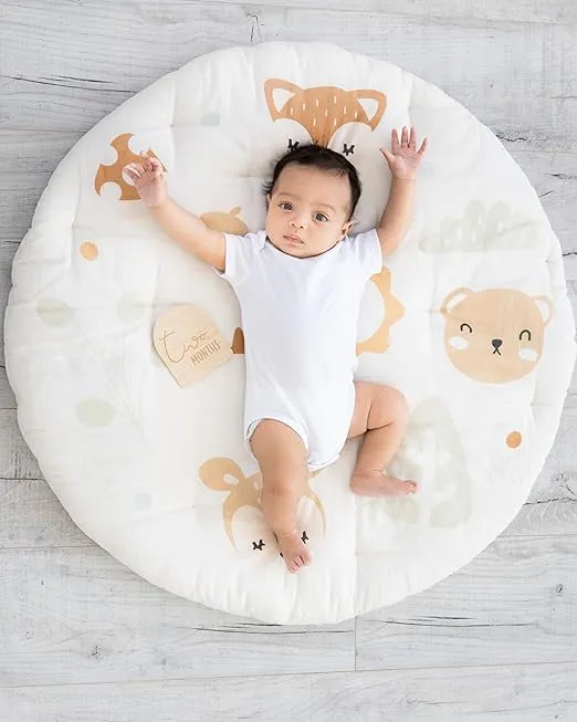 Pearhead Arch Monthly Milestone Props, 0-12 Month Reversible Photo Props, Baby Growth and Pregnancy Growth Cards, Gender Neutral Baby Photo Prop, Wooden Arched Discs