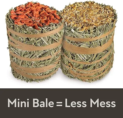 Kaytee Field+Forest Mini Hay Bales Carrot Marigold 2 Pack 7 Ounces