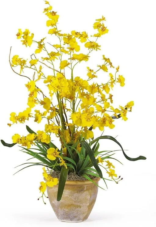 Nearly Natural Dancing Lady Silk Orchid Arrangement