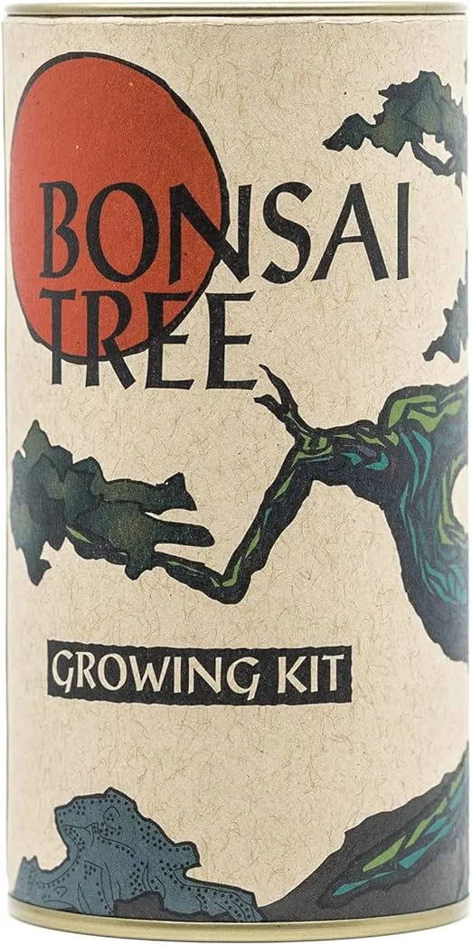 Bonsai Tree | Japanese Flowering Cherry | Seed Grow Kit | The Jonsteen Company