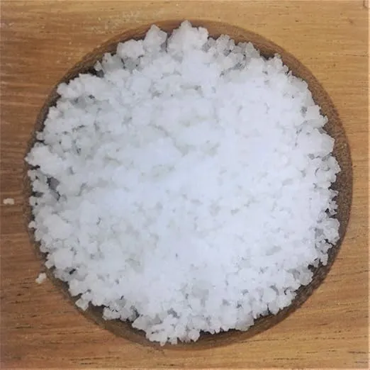 Celtic Sea Salt Gourmet Kosher, 16 Ounce