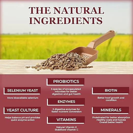 Equerry's Choice Horse Pellets - Complete Nutritional Supplement | Digestive Enzymes | Chelated Vitamins and Minerals | Horse Supplements | 20 lb