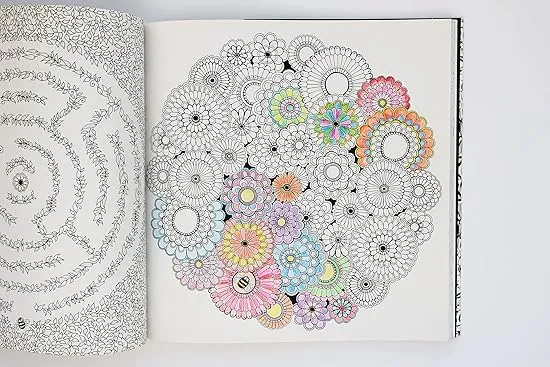 Secret Garden: An Inky Treasure Hunt and Coloring Book for Adults