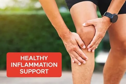 Smarter Joint Food - Nourishing Whole-Food Support for Lubrication, Mobility - Formulated with Collagen Type II, MSM, Vitamin C, Turmeric, Bromelain (Packaging May Vary – 30 Servings)