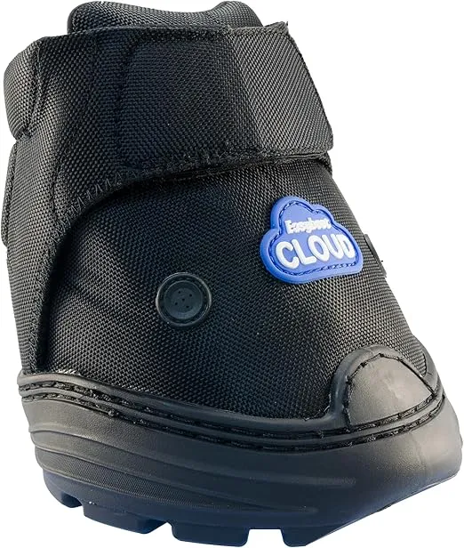 EASYCARE Easyboot Cloud