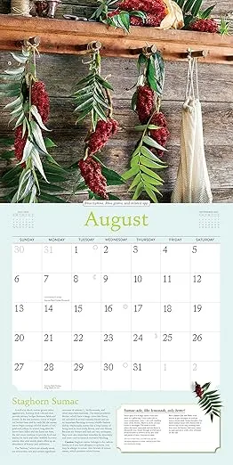 Rosemary Gladstar's Herbs Wall Calendar 2023: Recipes and Remedies for Health and Home