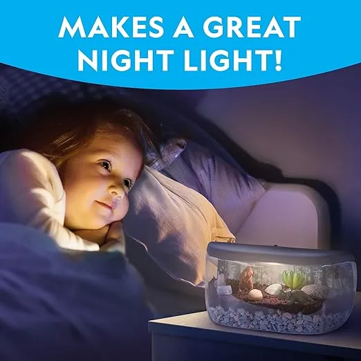 NATIONAL GEOGRAPHIC Light Up Terrarium Kit for Kids - Build a Dinosaur Habitat with Real Plants & Gemstones, Science Kit Gift for Boys & Girls, Dinosaur Toys for Kids (Amazon Exclusive)
