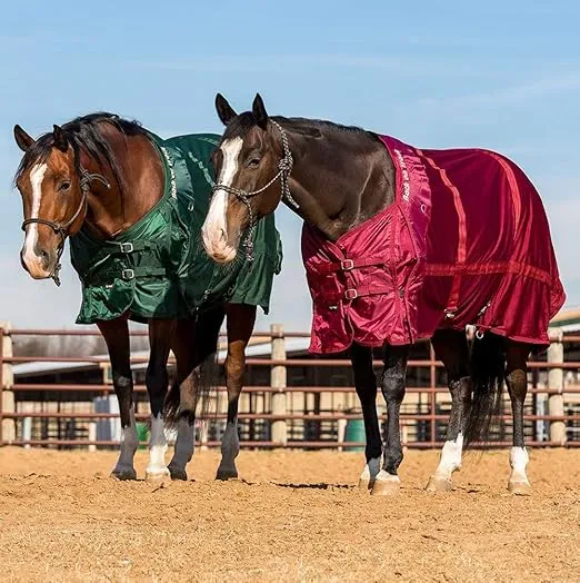 Back on Track Therapeutic Horse Mesh Rug (Hunter Green, 78-Inch)