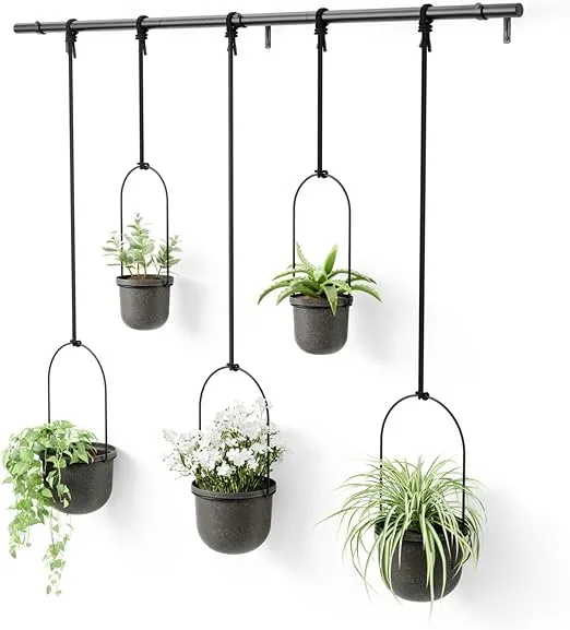 Umbra Triflora Hanging Planter for Window, Indoor Herb Garden, Set of 5, Black