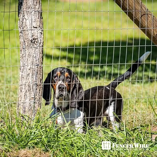 Fencer Wire Welded Wire Fence 12.5 Gauge, Galvanized Welded Fence Wire Roll, Mesh Size 2-Inch x 4-Inch, Hog Wire Fencing Cage, Multiple Use for Home Improvement & Animals Enclosure (4ft. x 100ft.)