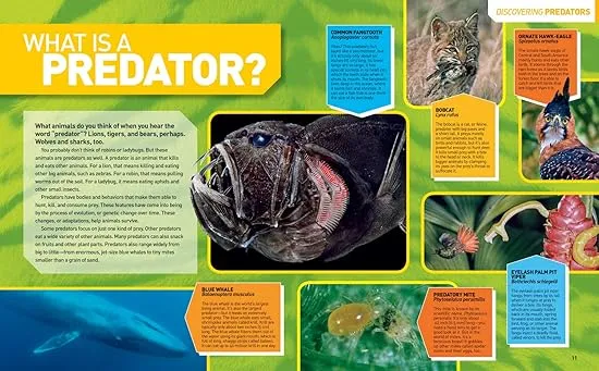 Ultimate Predatorpedia: The Most Complete Predator Reference Ever (National Geographic Kids)