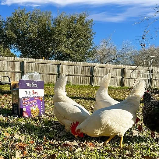 Dried Mealworms 10 lbs - Organic Chicken Feed for Laying Hens - Wild Bird Seed for Outside Feeders - Bluebird Food - Dried Mealworms for Birds, Dried Mealworms for Ducks, Dried Mealworms for Reptiles