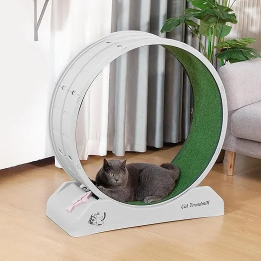 COZIWOW Cat Wheel for Indoor Cats 31.5" Cat Exercise Running Wheel with Locking Mechanism & Removable Carpeted Runway for Cat Weight Loss, Grey