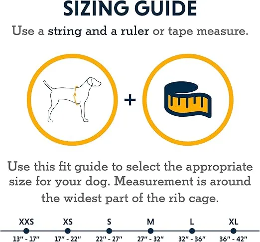 Ruffwear, Undercoat Water Dog Jacket, Insulated Amphibious Gear for Cold Water Swimming, Aurora Teal, Large