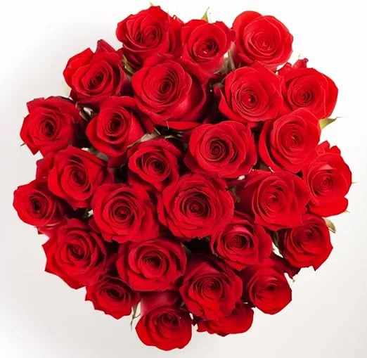 GlobalRose Fresh Cut Red Roses - 50 Roses Fresh Flowers Bouquet - Real Flowers Fresh Bouquet for Mother's Day, Birthday, Anniversary, Bridal Shower, or Home Decor - Fresh Cut Flowers Delivery (OM)