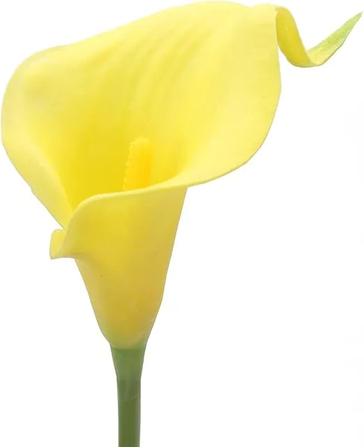 Duovlo 20pcs Calla Lily Bridal Wedding Bouquet Lataex Real Touch Artificial Flower Home Party Decor (Yellow)