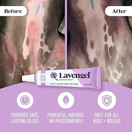 for Dogs - Reduces Skin Irritations and Itching - Effective Wound Care and Hot Spot Treatment