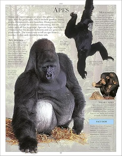 Encyclopedia of Animals