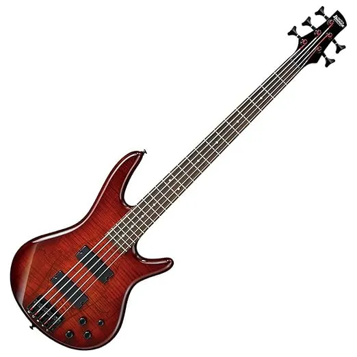 Ibanez GSR205SMCNB - Spalted Maple Top Charcoal Brown Burst