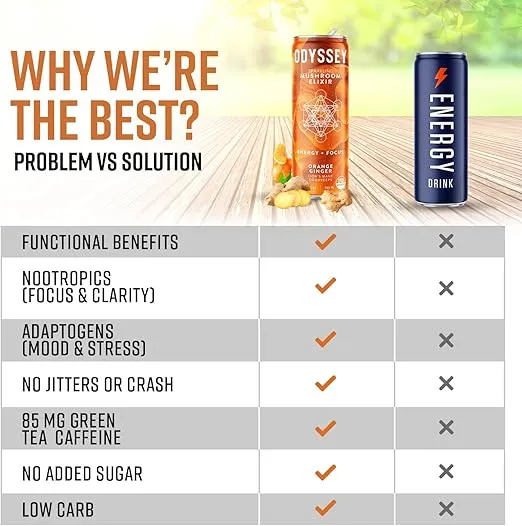 ODYSSEY ELIXIR Sparkling Mushroom Drink with Lions Mane and Cordyceps Adaptogenic Mushrooms, L Theanine and Green Tea Caffeine for Energy and Focus, 12 Fl oz, Variety Pack, 12 Cans