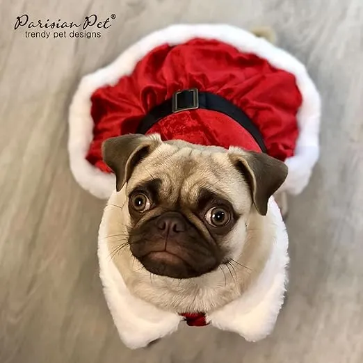 Parisian Pet Dog Christmas Dress – Pet Xmas Dog Dress – Mrs. Santa Claus Dog Costume – Red Velvet Skirt Small Dog Dress – Winter Fall Dog Clothes - Holiday Christmas Outfit for Large Dogs Girl - XL