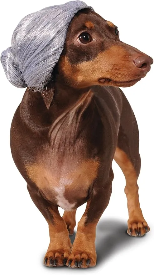 Rubie's Old Lady Wig For Pets