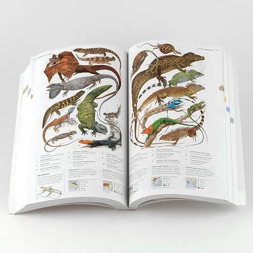 The Concise Animal Encyclopedia