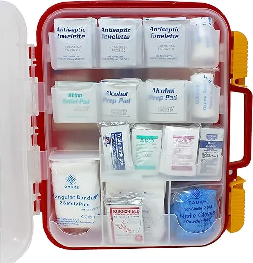 EverOne 354 Piece Hard Case First Aid Kit, Exceeds OSHA and ANSI Guidelines for 100 People, Fully Organized with Wall Mount for Business, Worksite, School, Vehicle and/or Home