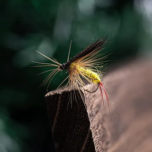 Goture Fly Fishing Flies Kit - 100pcs Fly Fishing Lures- Fly Fishing Assortment Kit for Bass Trout Salmon Fishing - Dry Flies Wet Flies Streamers Nymphs Fly Fishing Gear Gift