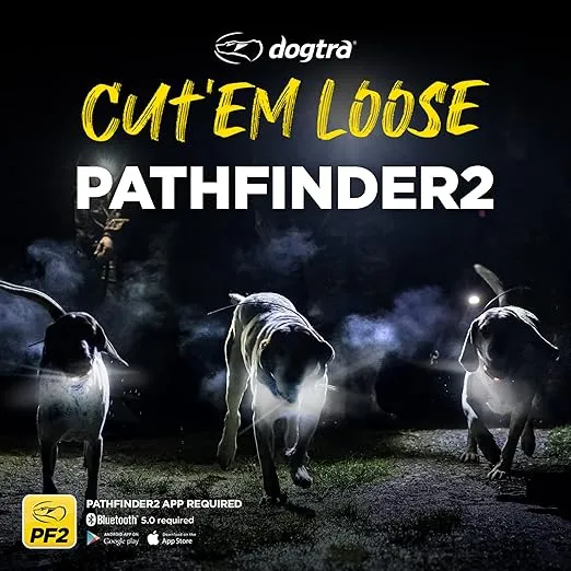 Dogtra PATHFINDER 2 MINI Additional Receiver Dog GPS Tracker e Collar Green LED Light No monthly fees Free App Waterproof Smartwatch control Satellite Real Time tracking long range Smartphone required