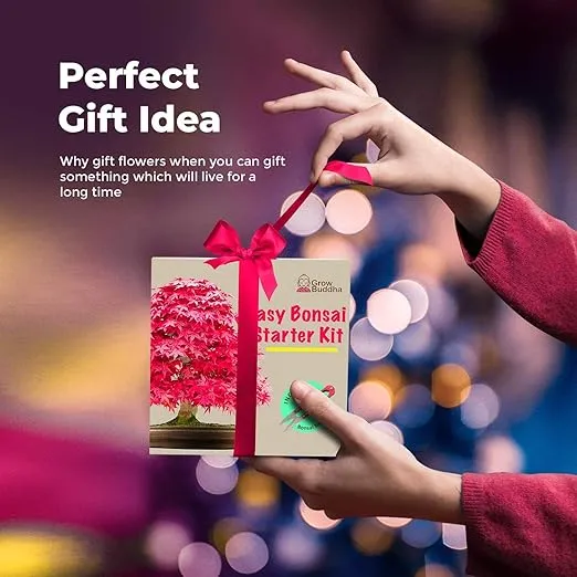 Grow Your Own Bonsai Tree kit | Easily Grow 4 Types of Bonsai Tree with Our Complete Beginner Friendly Bonsai Starter kit | Bonzai Tree | Christmas Gift Set for Plant Lovers (Bonsai Kit)