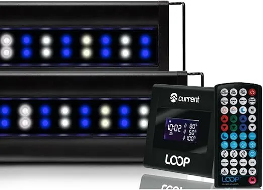 Current USA Orbit Marine IC PRO 36-48" Inch Dual LED Saltwater Reef Marine Aquarium Light | 24 Hour IR Lighting & eFlux Wave Pump Control | Adjustable Color Spectrum for Fish Tank (4226)