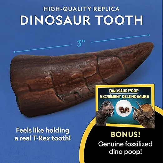 NATIONAL GEOGRAPHIC Dino Fossil Dig Kit & Dinosaur Book for Kids- Excavate a Replica Dinosaur Tooth Fossil and Study Paleontology with a Full-Color Dinosaur Activity Book for Kids (Amazon Exclusive)