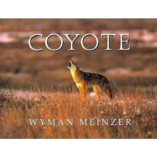Coyote (Southeast Asia Series; 95)