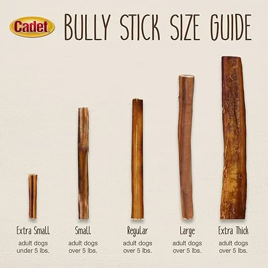 Cadet Bully Sticks for Small Dogs – All-Natural Beef Pizzle, High Protein, Low Fat, Long-Lasting, Grain & Rawhide-Free Dog Chews for Aggressive Chewers, Small (6 Ounce)