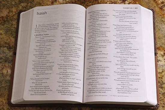 NIV, ReadEasy Bible, Large Print, Leathersoft, Tan, Red Letter