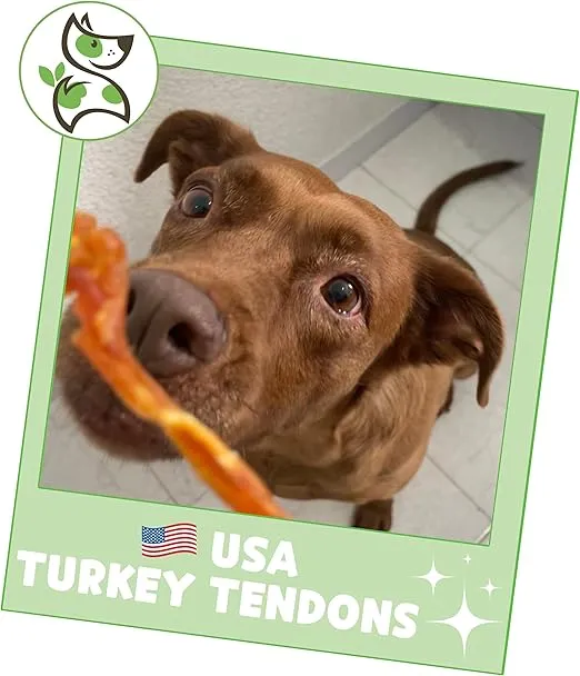 Nature Gnaws USA Turkey Tendons for Dogs (4oz) - Delicious Grain Free Reward Snack for Small, Medium & Large Breeds - Premium Natural Dog Chew Treats