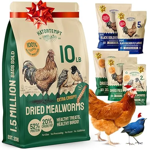 Bulk Dried Mealworms 10 Lbs - Non GMO Dried Mealworms for Chickens - Dried Mealworms for Chickens - Meal Worms for Birds & Chicken Treats for Laying Hens - Organic Chicken Feed