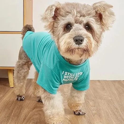 Cute Dog Clothes,Dog T Shirt for Medium Dogs.Dog Clothes for Small Dogs Girl Boy,Puppy.Breathable Soft Dog Costume Pet Dogs Cats,Pet Pullover Jumper,Cat Clothes (M-(7~11lb), Chest~16", Aqua)