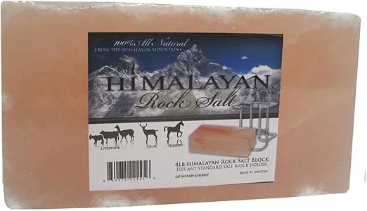Himalayan Salt Brick 4Lb